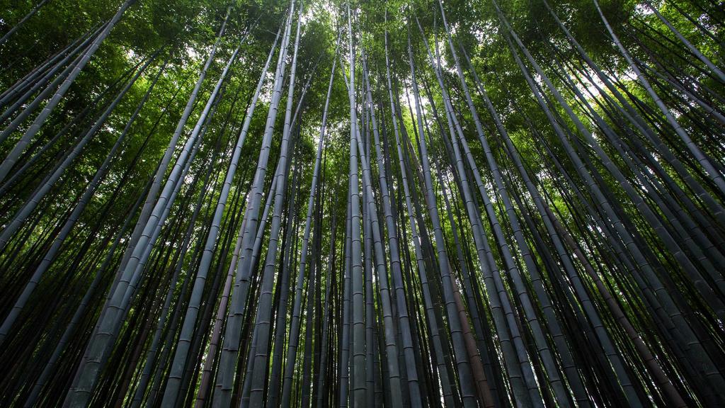 抗衰老秘籍：激活胶原蛋白+眼霜精准护理，定格年轻肌