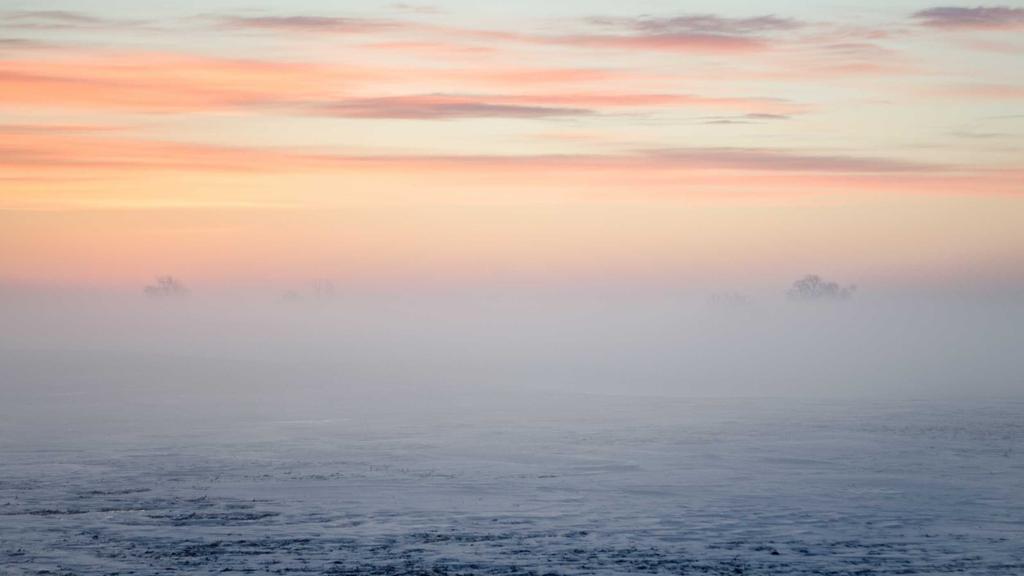 毛孔粗大自救指南：果酸焕肤+平价好物，轻松get细腻肌