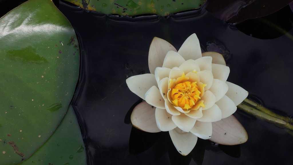 法令纹淡化秘籍：烟酰胺+科学护肤，解锁年轻肌密