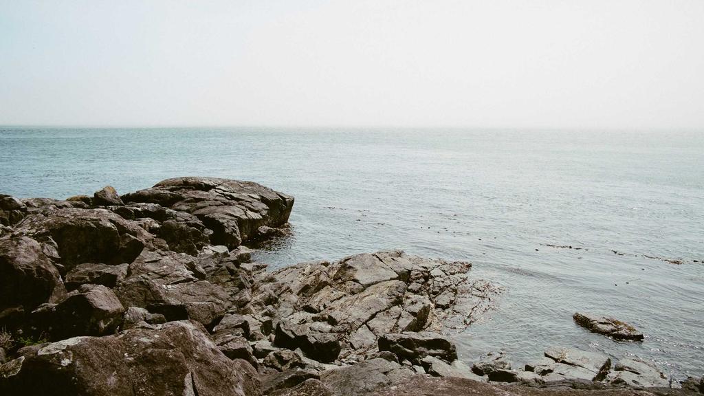 虾青素面膜实测：28天美白挑战，科学解析成分与效果