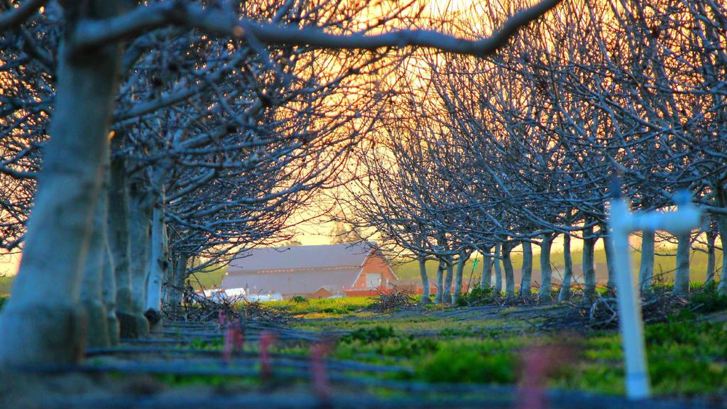 痘痘肌抗老指南：防晒喷雾+抗皱紧致，科学护肤不踩雷