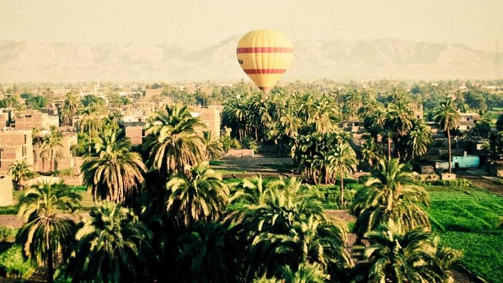 敏感肌必看！温和祛痘去闭口，果酸+胶原的黄金搭配法则
