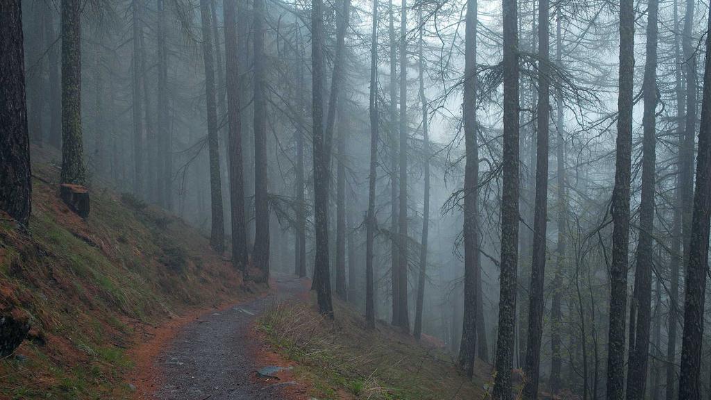 神经酰胺：敏感肌修复的「黄金盾牌」+5款急救面膜推荐