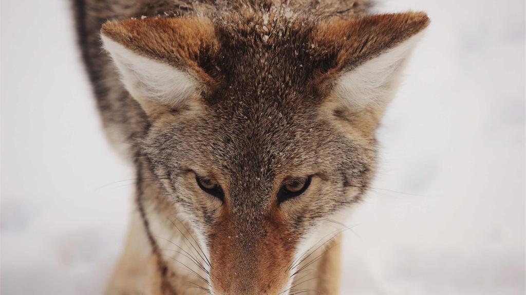 痘痘肌男士必看！医美术后修复全攻略，科学护肤不踩雷