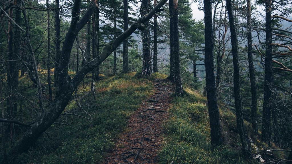 抗衰老三步走：清洁打底+神经酰胺修护+虾青素抗氧化，科学逆龄指南