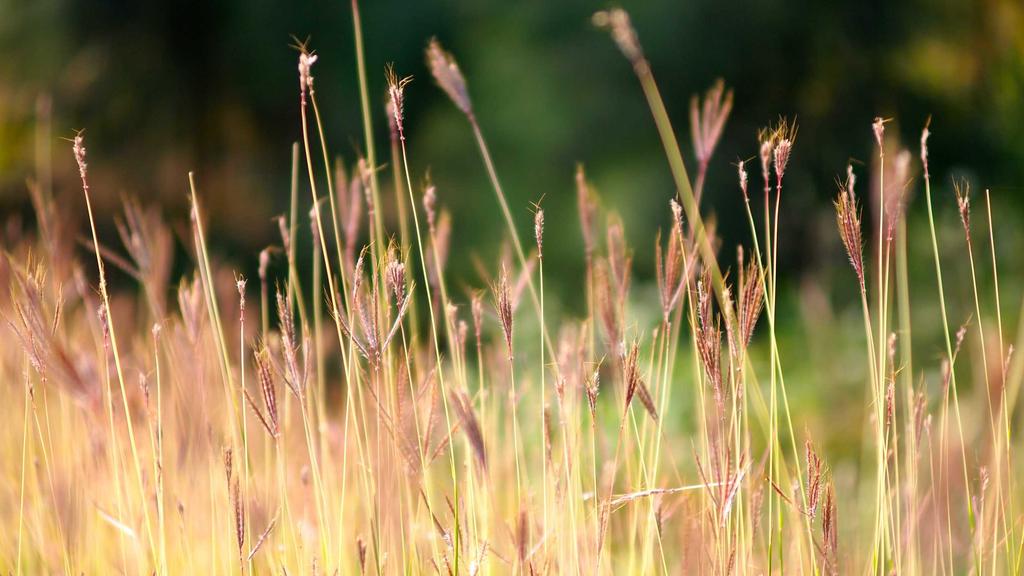 果酸焕肤、积雪草、玻尿酸：三大护肤成分全解析