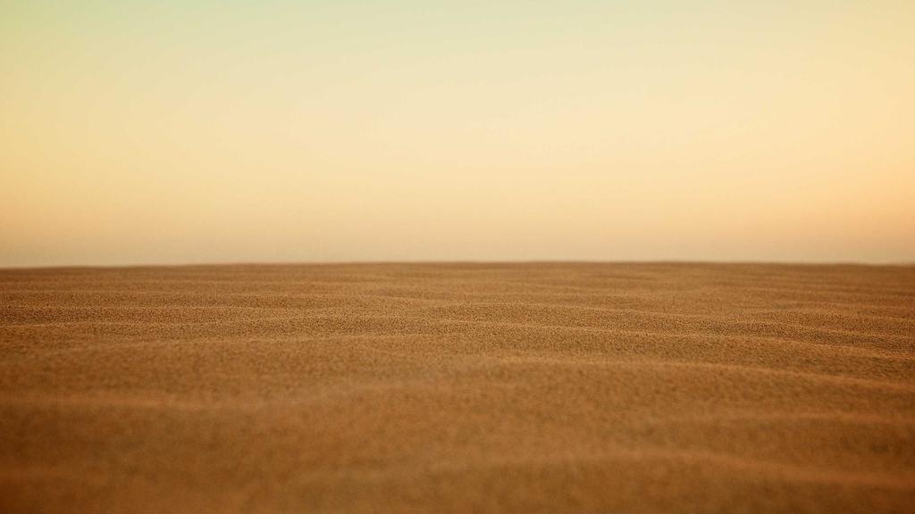 学生党必看！积雪草+角鲨烷平价护肤组合深度评测