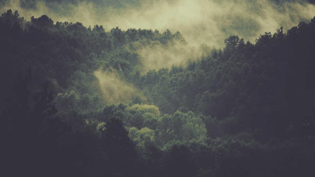 混合性肌肤救星！积雪草精华液成分解析与使用指南