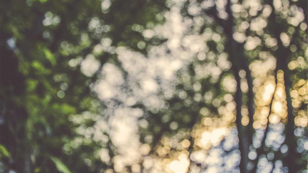 混合肌医美术后修复必看！胶原蛋白产品深度实测