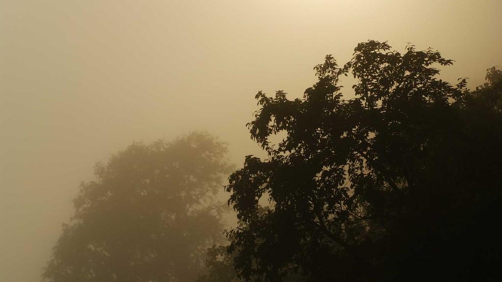 解锁美白淡斑新密码：身体乳&面霜成分全解析