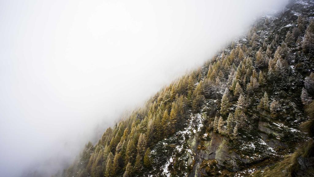 抗衰老全攻略：早晚护肤+面膜+玻尿酸，科学锁住青春肌