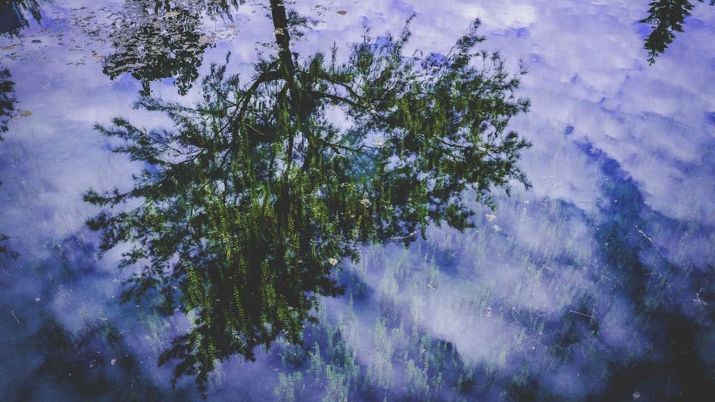 抗衰老新攻略：敏感肌也能用的美白精华液TOP榜