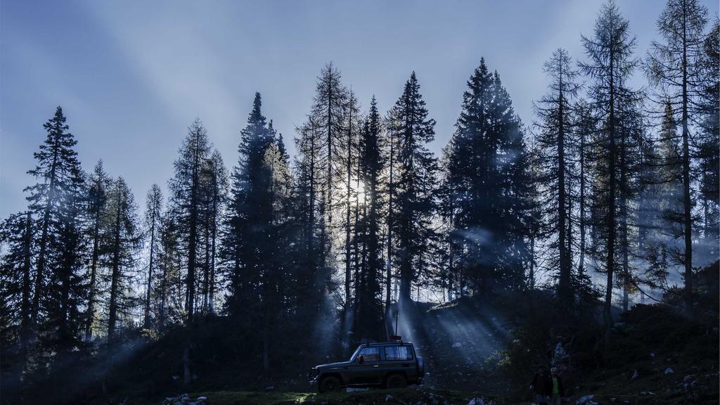 敏感肌美白攻略：油皮&混皮专属护理指南