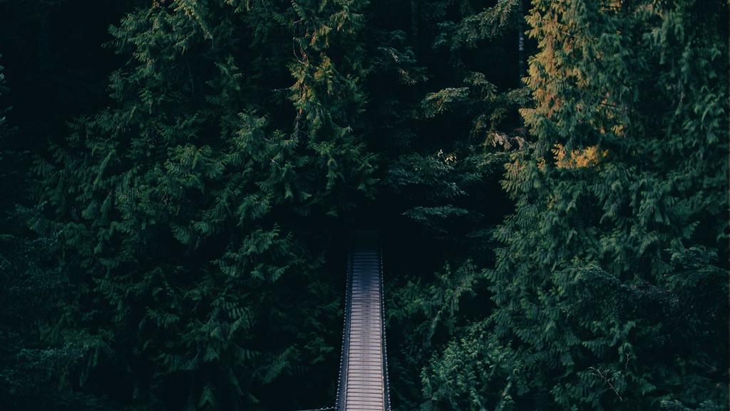 神经酰胺护肤实测：早晚搭配如何实现24小时锁水屏障？