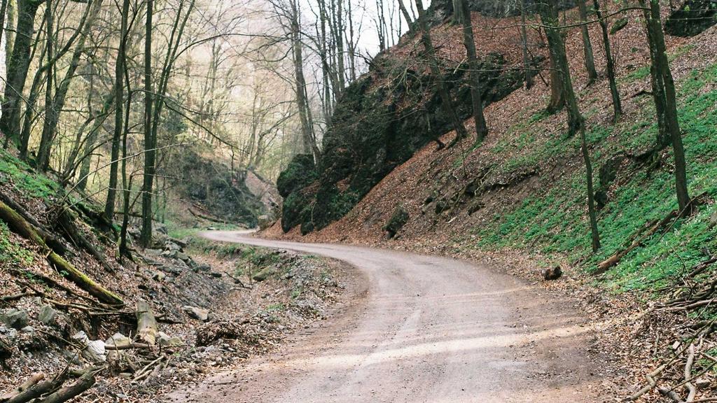 抗衰老护肤全攻略：早晚步骤+面膜面霜黄金搭配