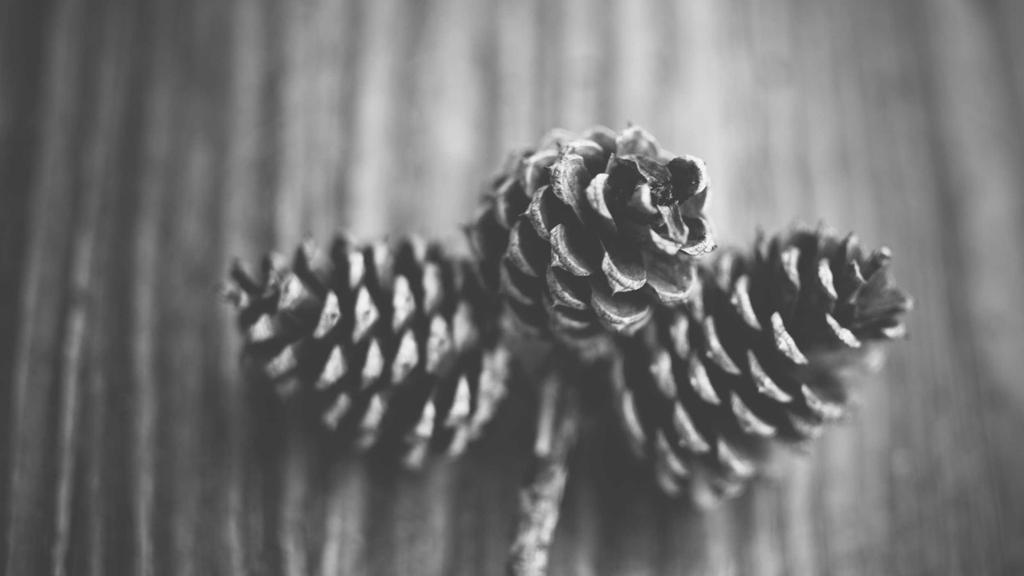 换季敏感肌自救指南：科学补水+屏障修复全攻略