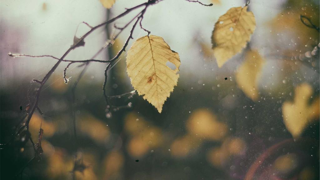 医美术后修复全攻略：洁面乳+护肤品科学搭配指南