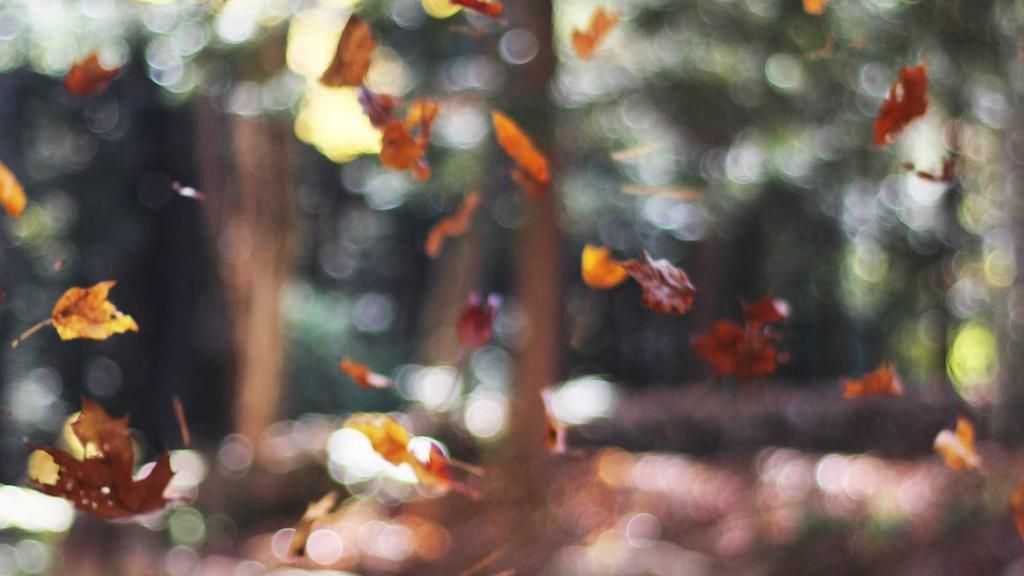 防晒+酸类护肤全攻略：水杨酸、壬二酸的科学搭配法则