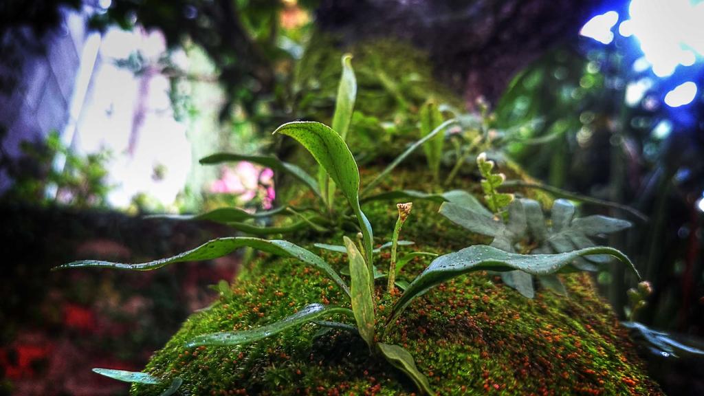 美白进阶指南：神经酰胺+精华液的科学搭配法则