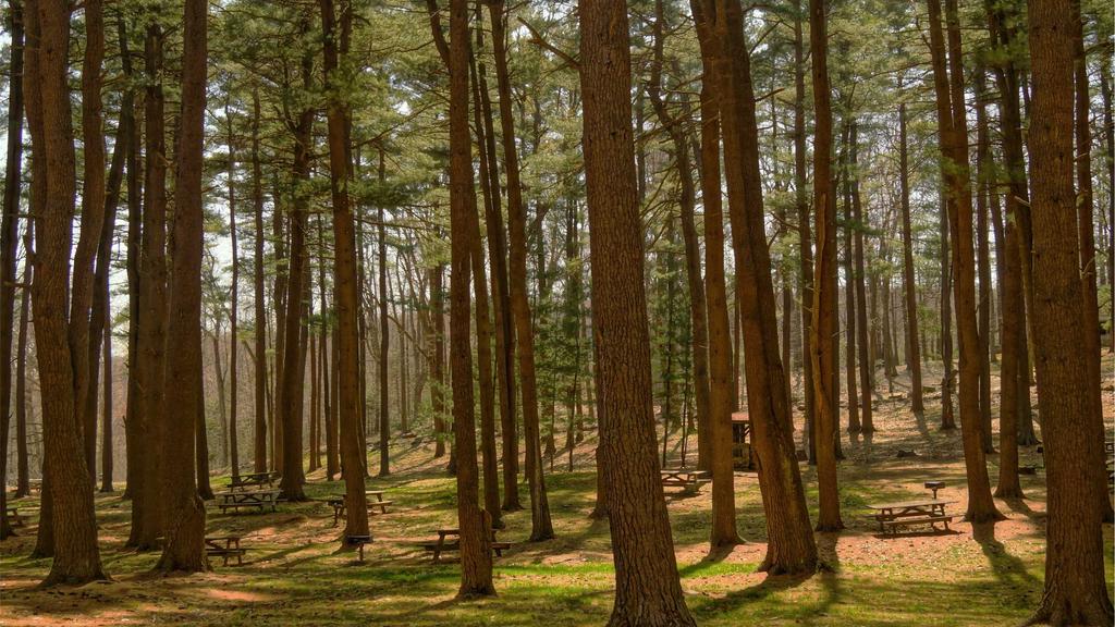 秋冬护肤三件套实测：面膜+防晒喷雾，拯救干燥肌的黄金组合