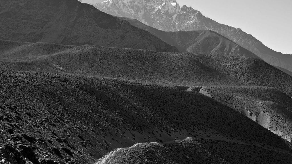 医美术后修复+油皮控油：科学成分搭配美容仪全攻略