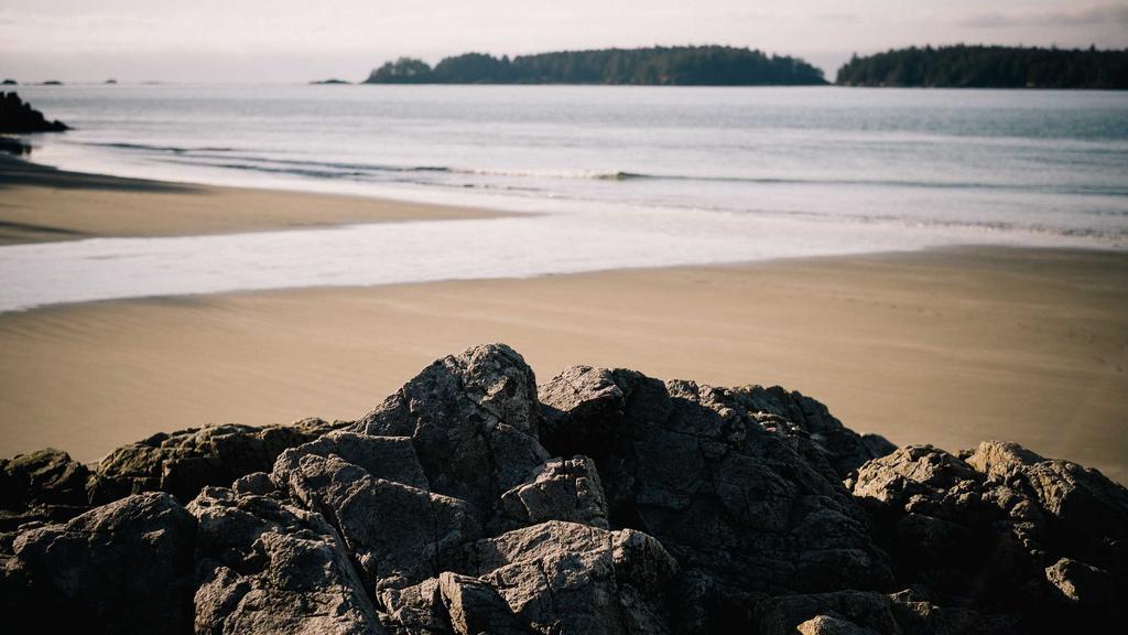 油痘肌必看！科学解析控油、缩毛孔、战痘的成分密码