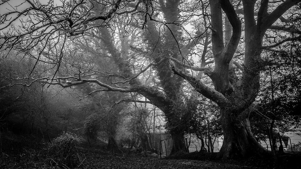 秋冬护肤进阶指南：维生素C+壬二酸，解锁透亮肌的黄金组合