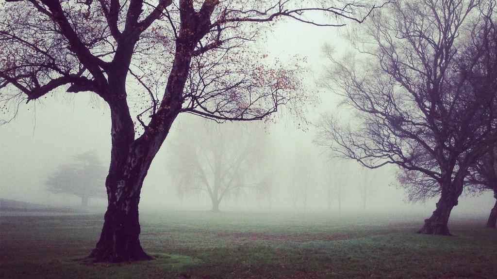 秋冬护肤攻略：玻尿酸锁水+水杨酸焕肤，科学搭配不踩雷