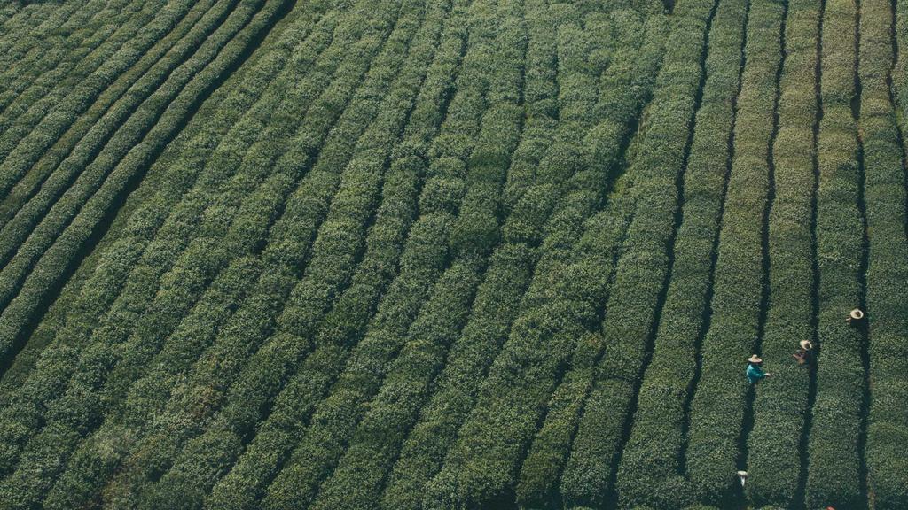 干敏肌自救指南：避开水杨酸雷区，选对面霜是关键