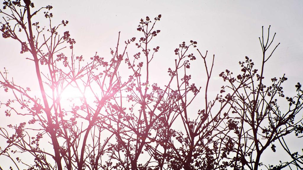 男士护肤必看！百元内平价好物+防晒全攻略，轻松养成清爽肌