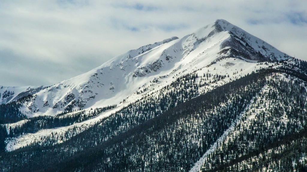 科学解析：美白、祛痘、去黑头成分全攻略，精准护肤不踩雷