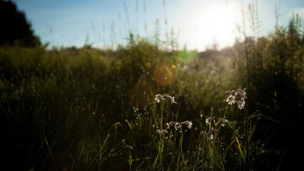 男士护肤进阶指南：玻尿酸精华液的高效使用法则