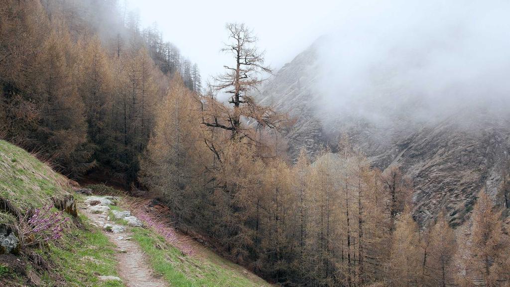 抗衰老三重奏：美白+保湿+提亮，破解暗沉肤色的科学密码