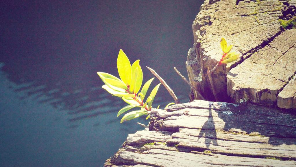 干性肌抗皱救星测评：孕妇也能安心用的紧致方案