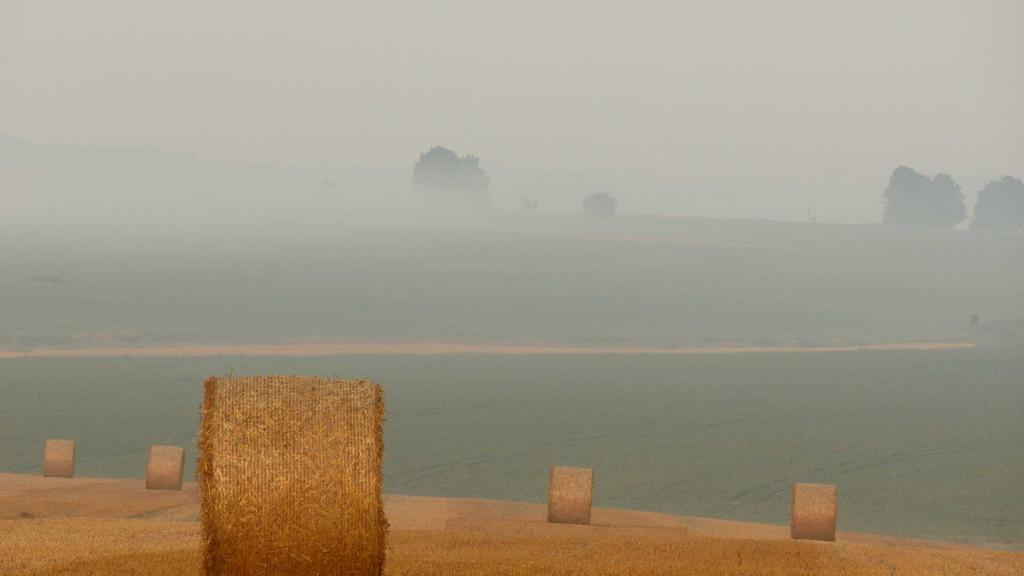 虾青素抗老全攻略：干敏肌修护+红血丝退散指南