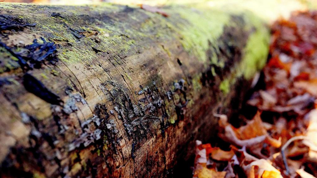 抗衰+保湿双管齐下！25岁后必学的科学护肤公式