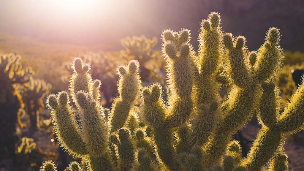 敏感肌美白淡斑指南：壬二酸+屏障修复的科学护理法