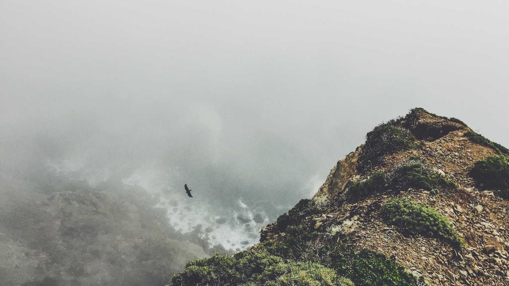 敏感肌自救指南：温和清洁+角鲨烷修护，混合肌也能稳住！