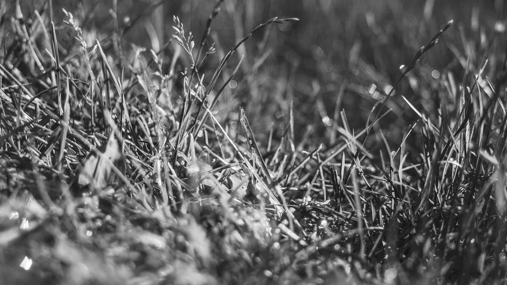 痘痘肌救星？角鲨烷防晒喷雾深度评测与使用指南