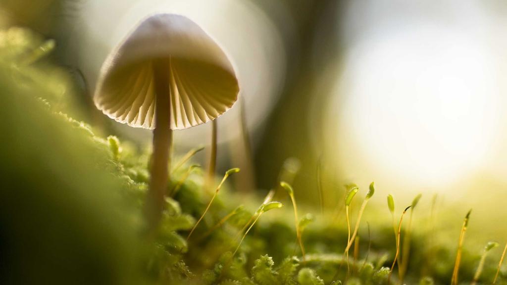 秋冬眼周救星！5大明星成分+科学搭配指南，告别干燥细纹