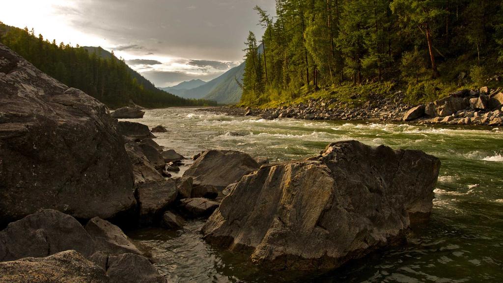 混合肌抗衰秘籍：维生素C+黑头管理，双效焕活年轻肌