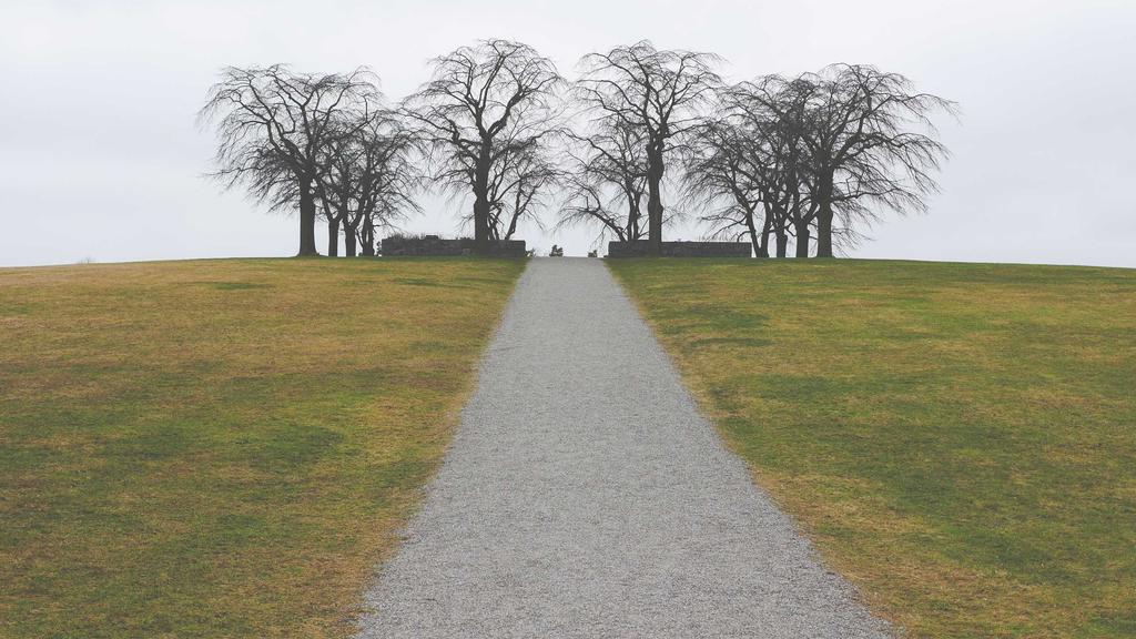 2024美白面霜&眼霜实测：科学配方+真实效果全解析