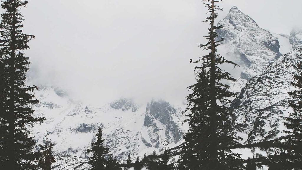 敏感肌必看！积雪草护肤法，温和淡化法令纹攻略