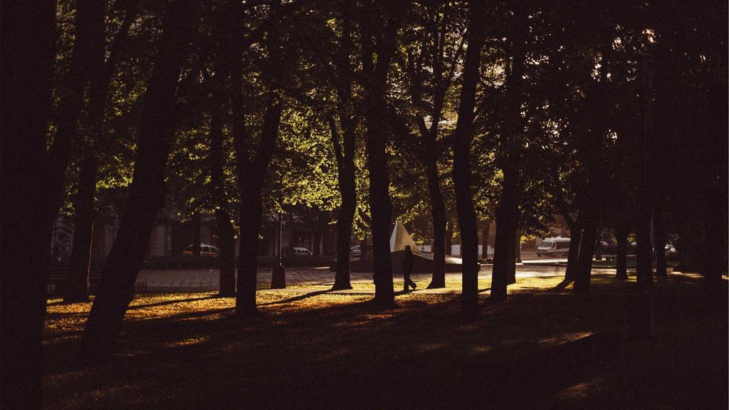 秋冬护肤必修课：科学解锁补水保湿与屏障修复成分