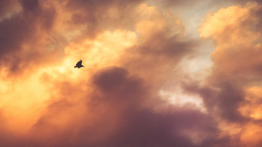 秋冬男士毛孔救星！3大成分科学解决粗大难题