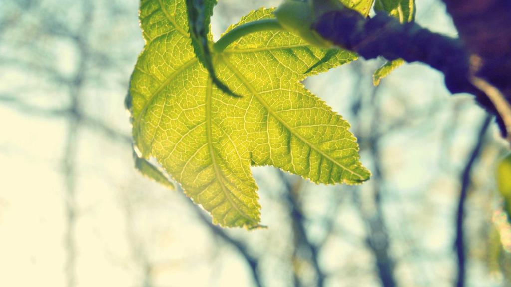 熬夜肌自救指南：面膜+防晒+成分党必修课