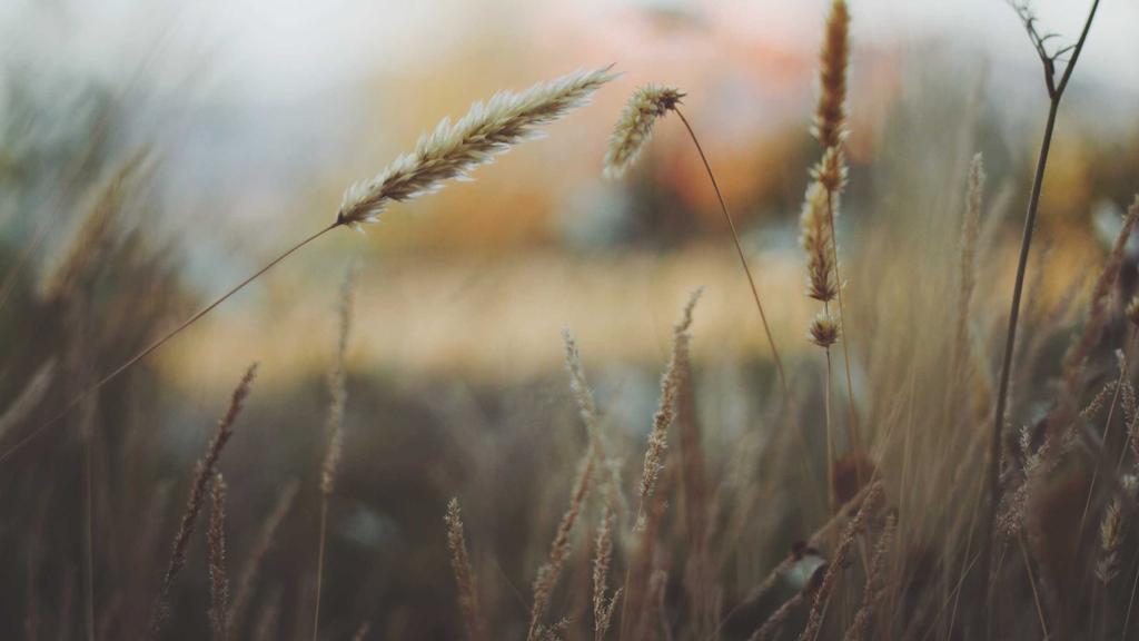 敏感肌自救指南：从面部到全身的温和护理全攻略