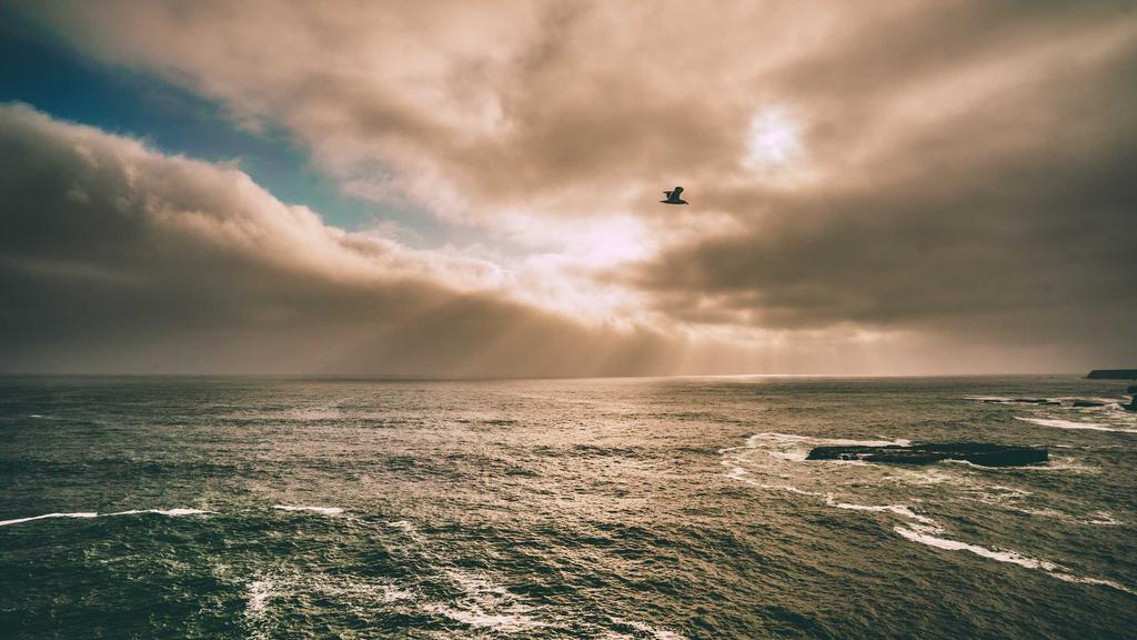 油皮男士抗老指南：控油抗皱双效合一的护肤策略