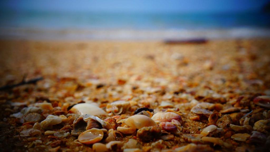 从暗沉到透亮：科学解析美白清洁成分的黄金组合