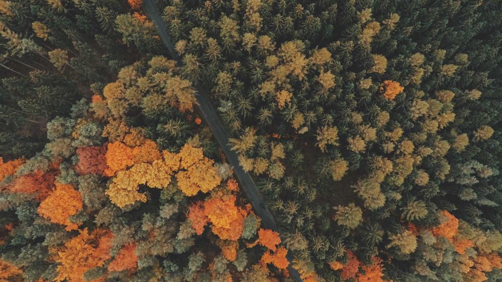 卸妆抗老+保湿全攻略：科学护肤三步打造年轻肌